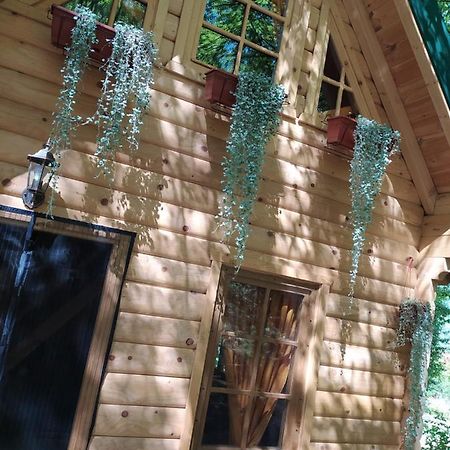 Villa Brvnara Fairy Tale Cetinje Esterno foto