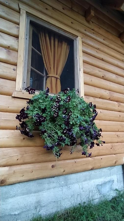 Villa Brvnara Fairy Tale Cetinje Esterno foto