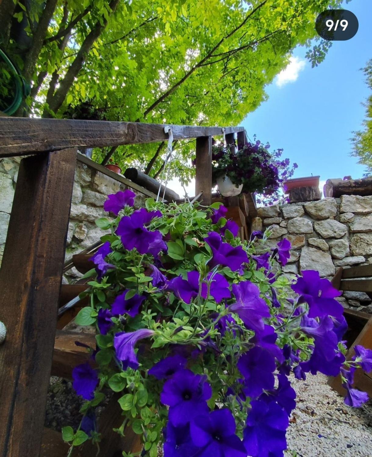 Villa Brvnara Fairy Tale Cetinje Esterno foto